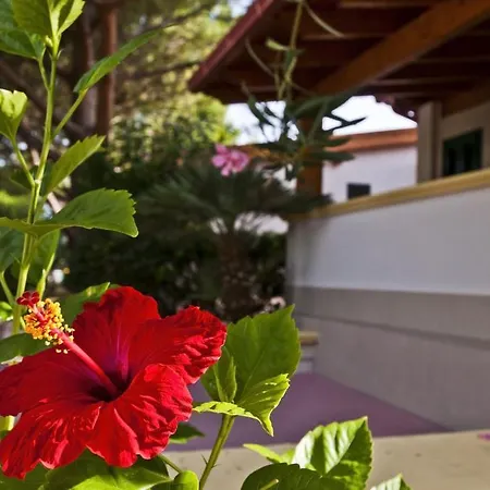 Park Village Hotel 4*
