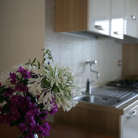 Park Village Hotel 4*